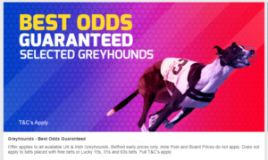 Bonus “Greyhounds best odds guaranteed and bonuses”