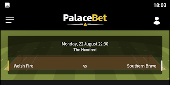 You can place a cricket bet in the Palacebet app