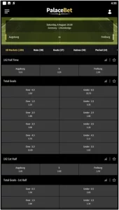 Markets for a soccer match in the PalaceBet app