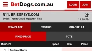 Betdogs (small online bookmakers) greyhounds odds