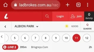 Ladbrokes (small online bookmakers) greyhounds odds