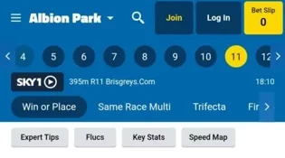 Sportsbet (small online bookmakers) greyhounds odds